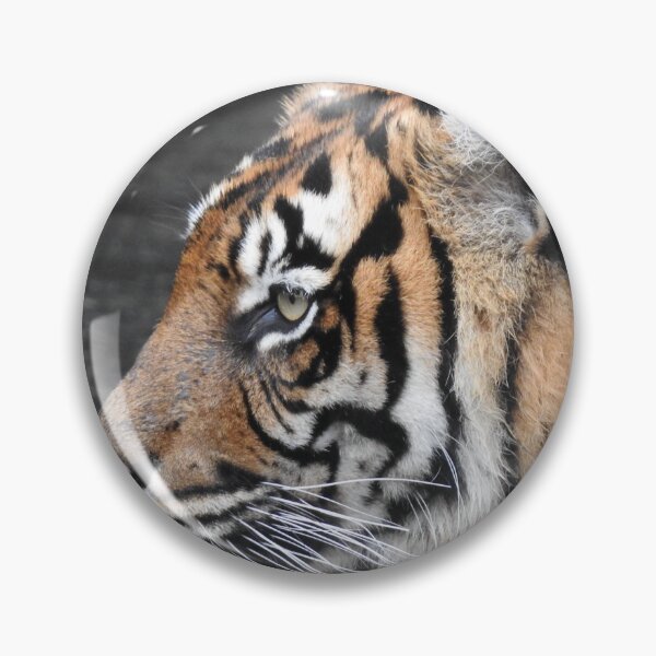 Item preview, Sumatran tiger designed and sold by Martina Nicolls.