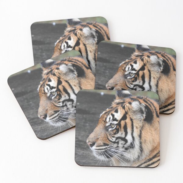 Item preview, Sumatran tiger designed and sold by Martina Nicolls.