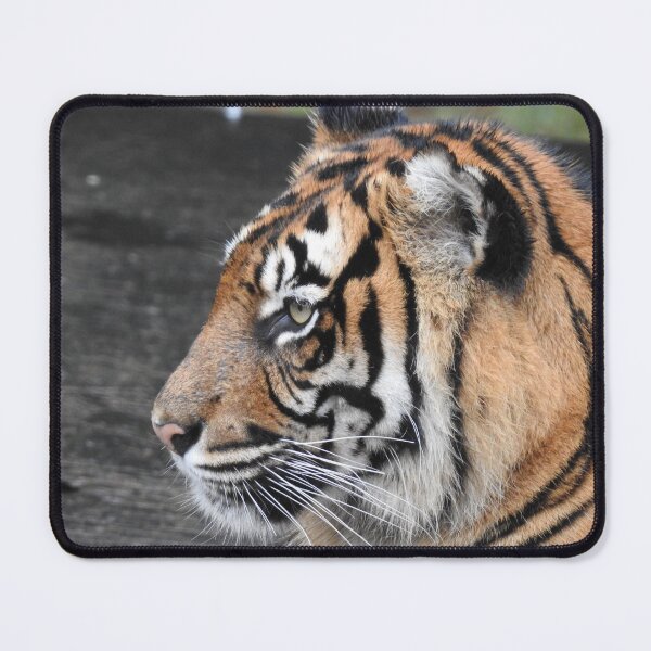 Item preview, Sumatran tiger designed and sold by Martina Nicolls.