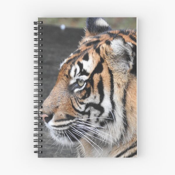 Item preview, Tigre de Sumatra designed and sold by Martina Nicolls.