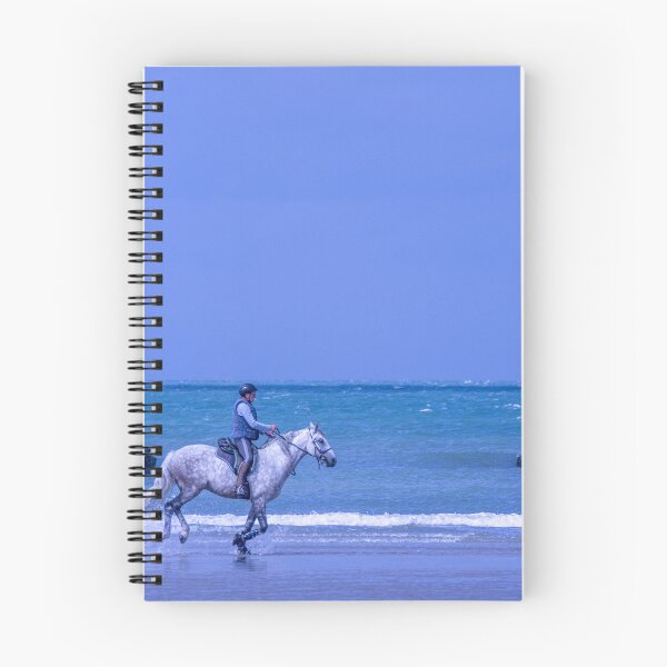 Item preview, Seagull v Horse designed and sold by hugobraun.