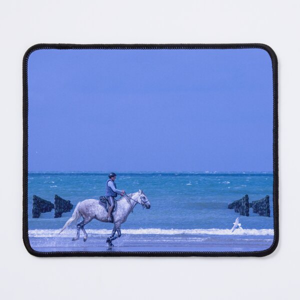 Item preview, Seagull v Horse designed and sold by hugobraun.