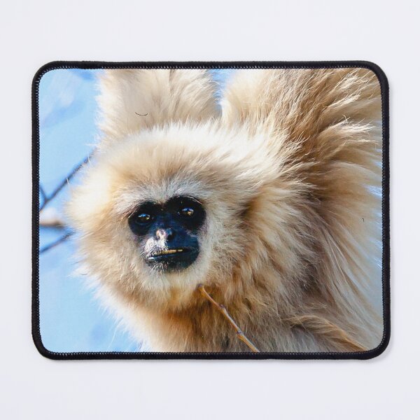 Item preview, Just Hanging around Gibbon designed and sold by Dalyndigital Photography.