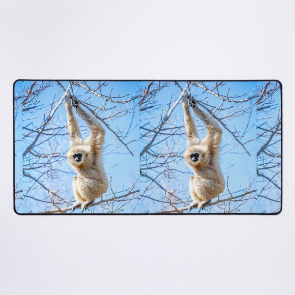 Item preview, Just Hanging around Gibbon designed and sold by Dalyndigital Photography.