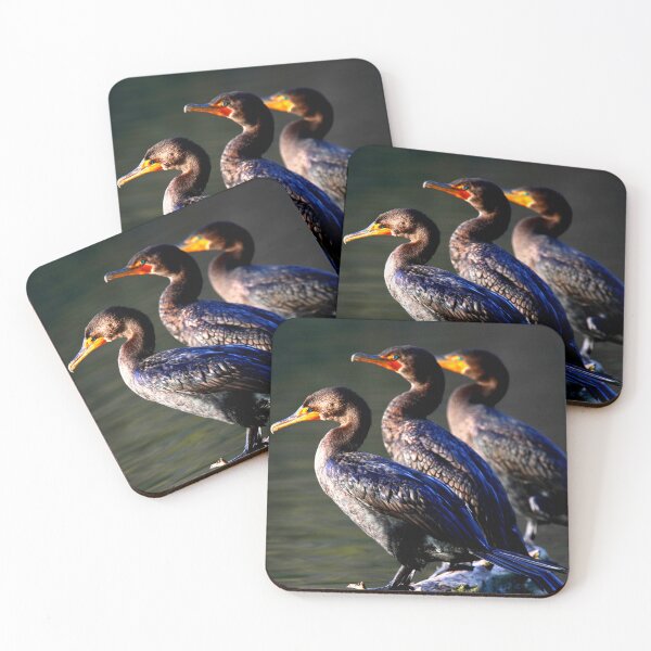 Item preview,  Cormorant photo with high resolution quality designed and sold by Allyouneed-2.