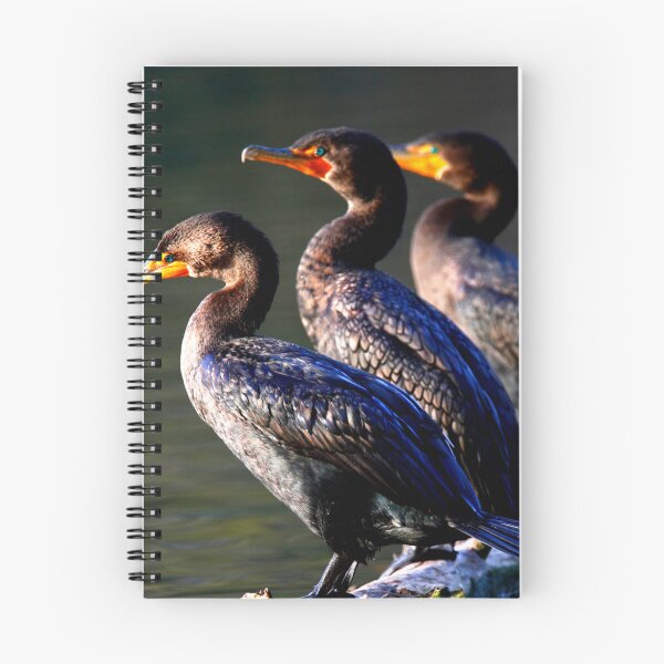 Item preview,  Cormorant photo with high resolution quality designed and sold by Allyouneed-2.