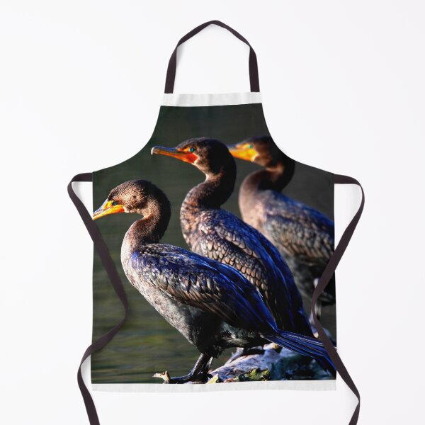 Item preview, Cormorant photo with high resolution quality designed and sold by Allyouneed-2.