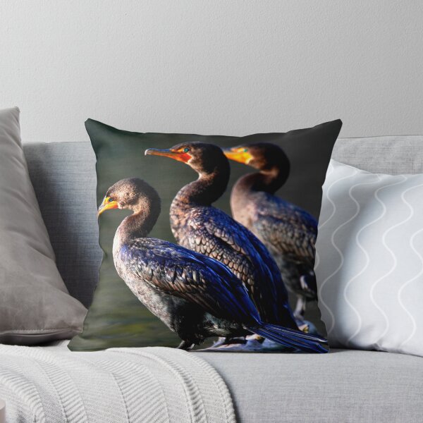 Item preview,  Cormorant photo with high resolution quality designed and sold by Allyouneed-2.