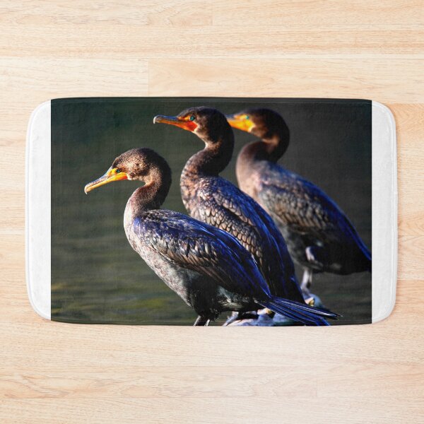Item preview,  Cormorant photo with high resolution quality designed and sold by Allyouneed-2.
