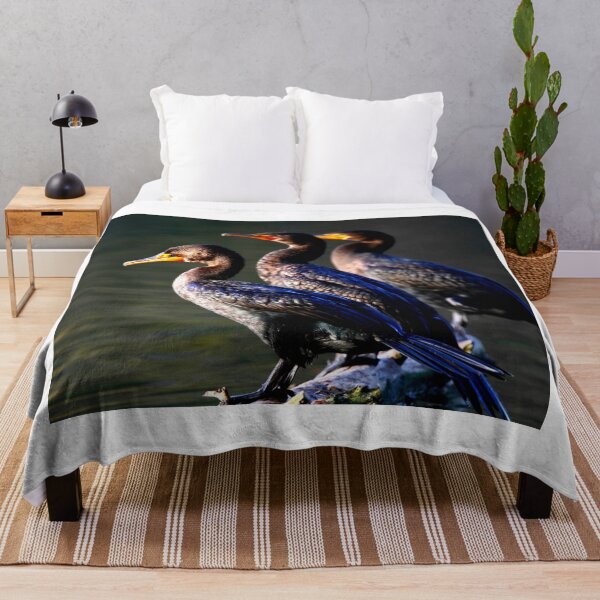Item preview,  Cormorant photo with high resolution quality designed and sold by Allyouneed-2.