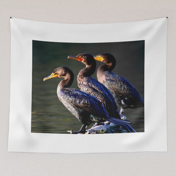 Item preview,  Cormorant photo with high resolution quality designed and sold by Allyouneed-2.