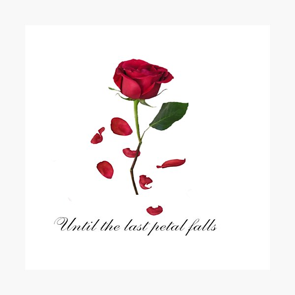 Last Petal Gifts & Merchandise | Redbubble