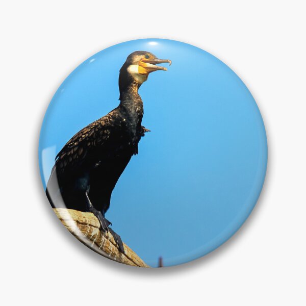 Item preview,  Cormorant photo with high resolution quality designed and sold by Allyouneed-2.