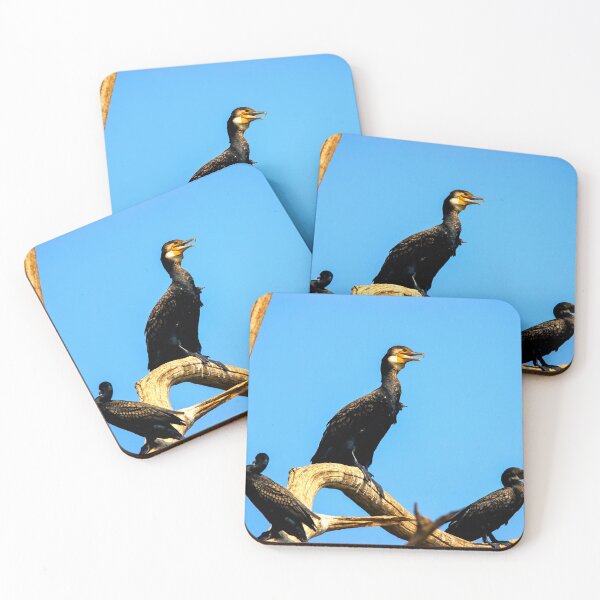 Item preview,  Cormorant photo with high resolution quality designed and sold by Allyouneed-2.