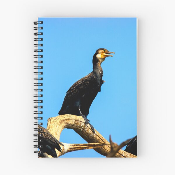 Item preview,  Cormorant photo with high resolution quality designed and sold by Allyouneed-2.