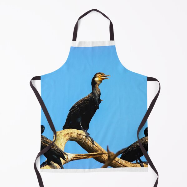 Item preview, Cormorant photo with high resolution quality designed and sold by Allyouneed-2.