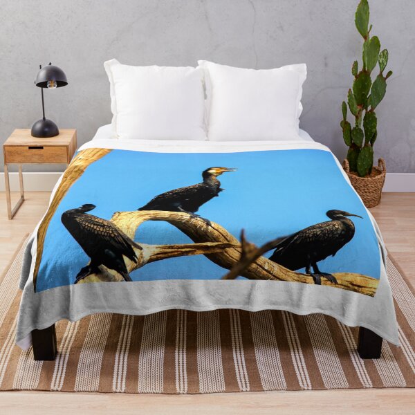 Item preview, Cormorant photo with high resolution quality designed and sold by Allyouneed-2.