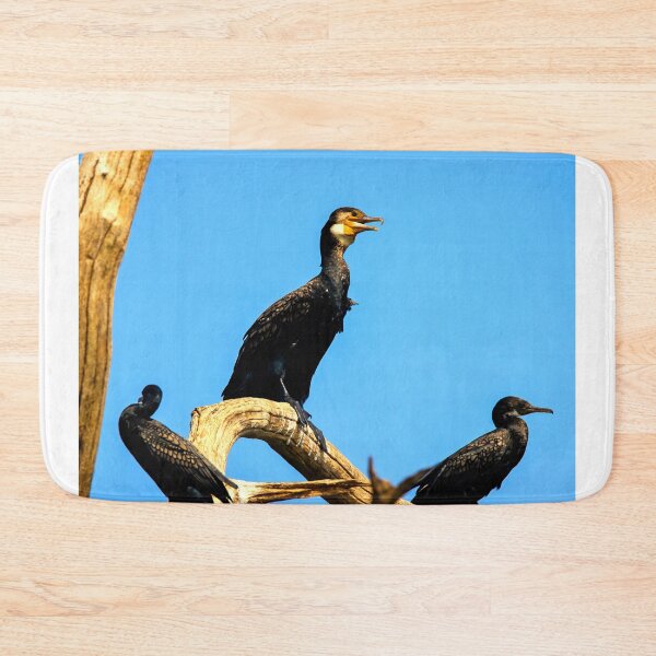 Item preview,  Cormorant photo with high resolution quality designed and sold by Allyouneed-2.