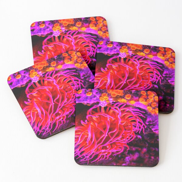 Item preview, Sea anemone photo with high resolution quality designed and sold by Allyouneed-2.