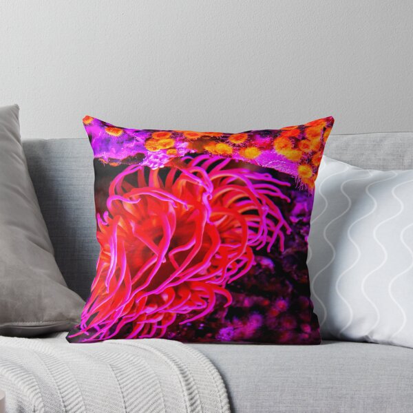 Item preview, Sea anemone photo with high resolution quality designed and sold by Allyouneed-2.