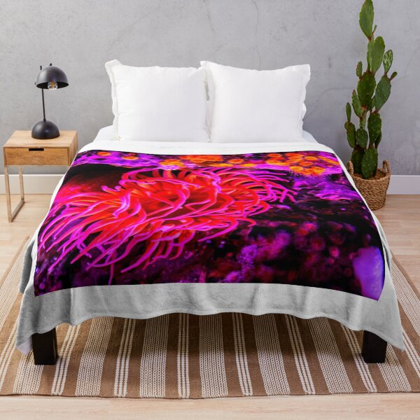 Item preview, Sea anemone photo with high resolution quality designed and sold by Allyouneed-2.