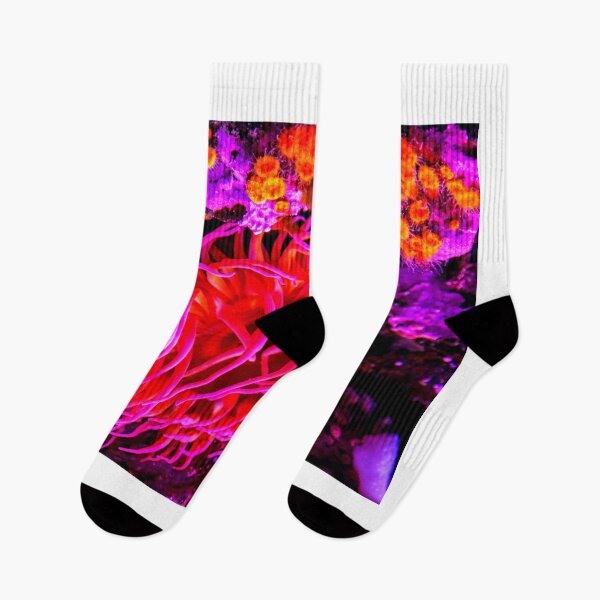 Item preview, Sea anemone photo with high resolution quality designed and sold by Allyouneed-2.