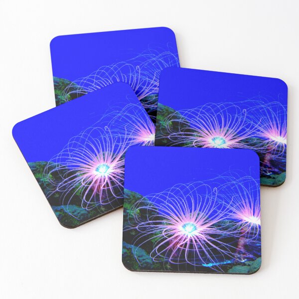 Item preview, Sea anemone photo with high resolution quality designed and sold by Allyouneed-2.
