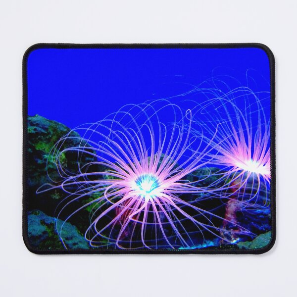 Item preview, Sea anemone photo with high resolution quality designed and sold by Allyouneed-2.