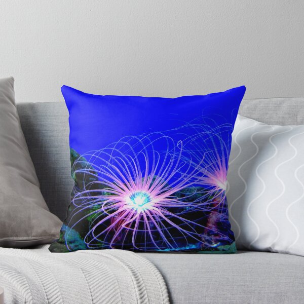 Item preview, Sea anemone photo with high resolution quality designed and sold by Allyouneed-2.