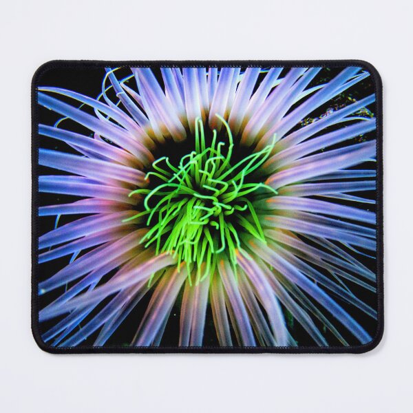 Item preview, Sea anemone photo with high resolution quality designed and sold by Allyouneed-2.