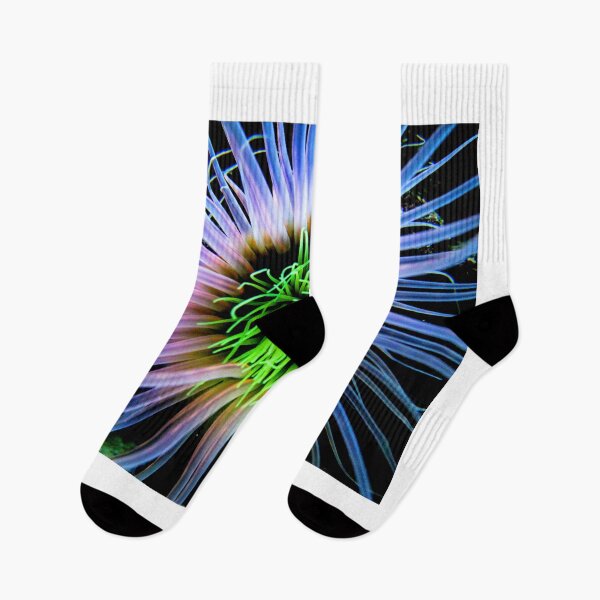 Item preview, Sea anemone photo with high resolution quality designed and sold by Allyouneed-2.