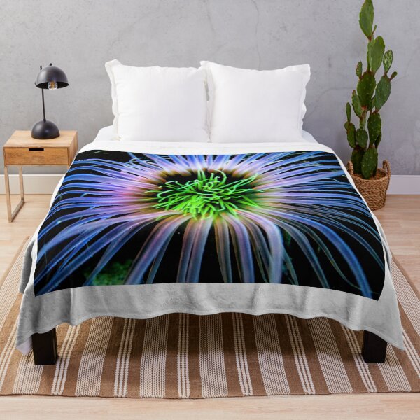 Item preview, Sea anemone photo with high resolution quality designed and sold by Allyouneed-2.
