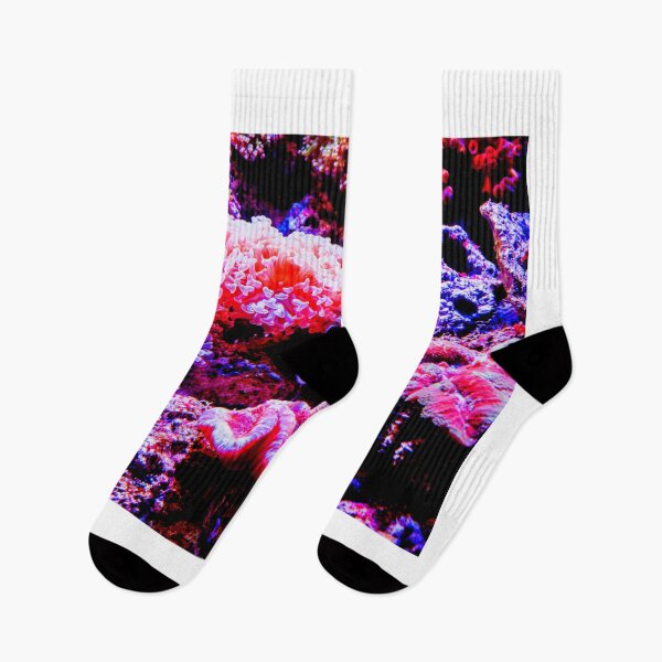 Item preview, Sea anemone photo with high resolution quality designed and sold by Allyouneed-2.