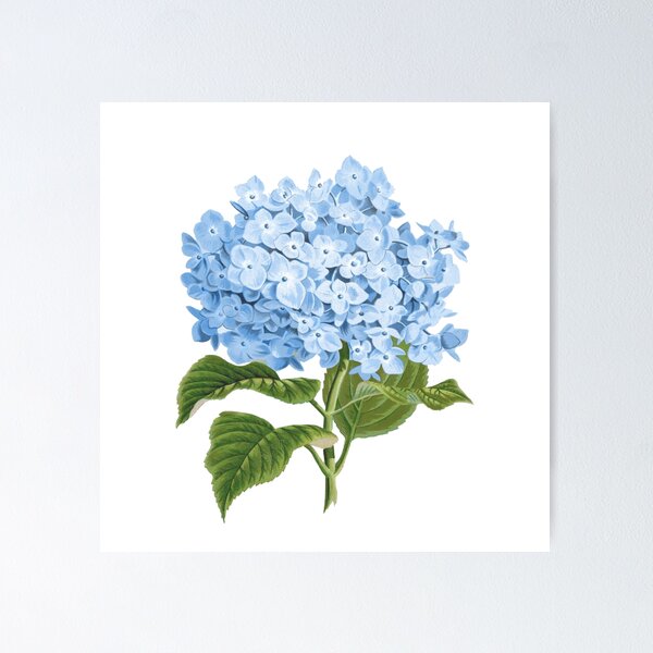 Item preview, Hydrangea Flower In Blue designed and sold by Adidit.