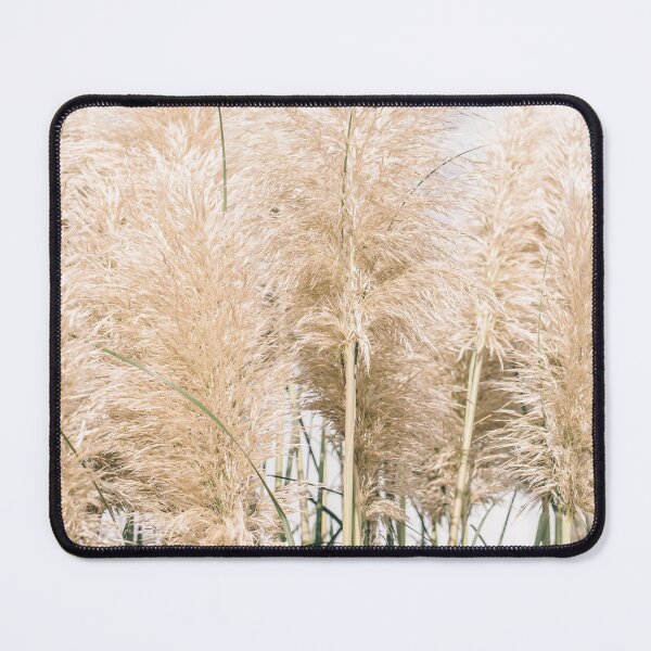 Artikelvorschau, Pampasgras in beige neutralen Farben - Naturfotografie entworfen und verkauft von ppolecho.