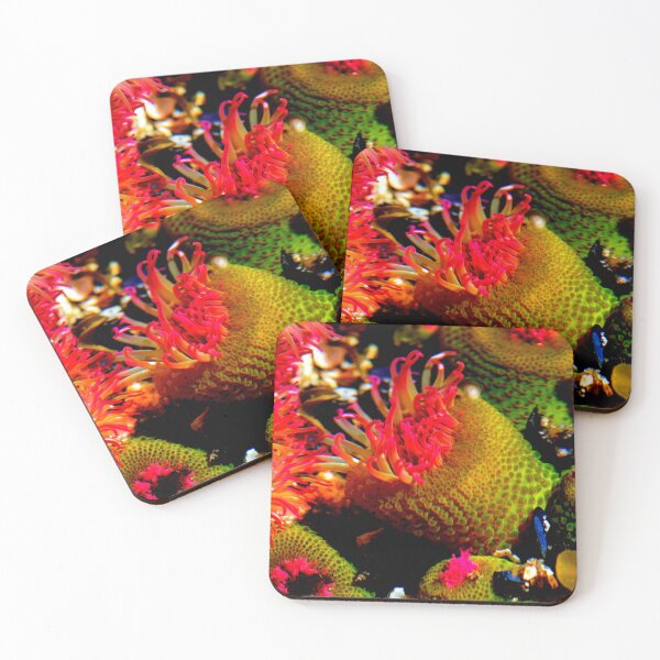 Item preview, Sea anemone photo with high resolution quality designed and sold by Allyouneed-2.