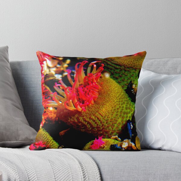 Item preview, Sea anemone photo with high resolution quality designed and sold by Allyouneed-2.