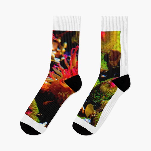Item preview, Sea anemone photo with high resolution quality designed and sold by Allyouneed-2.