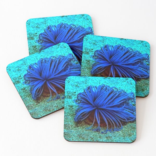 Item preview, Sea anemone photo with high resolution quality designed and sold by Allyouneed-2.