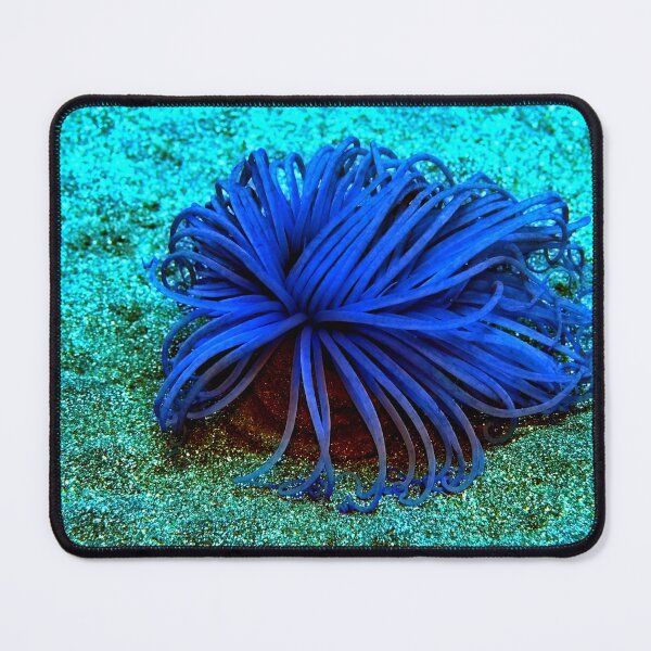Item preview, Sea anemone photo with high resolution quality designed and sold by Allyouneed-2.