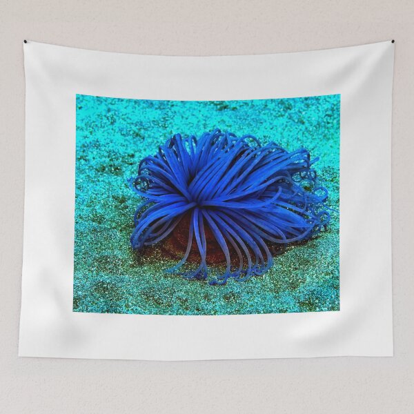 Item preview, Sea anemone photo with high resolution quality designed and sold by Allyouneed-2.