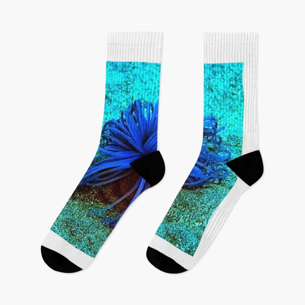 Item preview, Sea anemone photo with high resolution quality designed and sold by Allyouneed-2.
