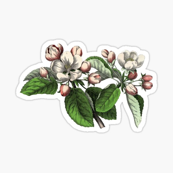 Item preview, Apple Blossom designed and sold by Adidit.