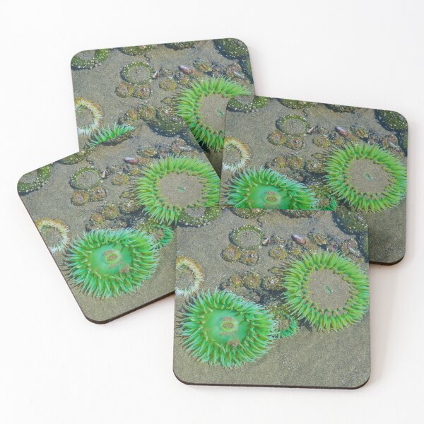 Item preview,  Sea anemone photo with high resolution quality designed and sold by Allyouneed-2.