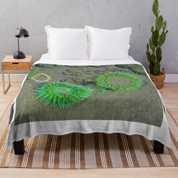 Item preview,  Sea anemone photo with high resolution quality designed and sold by Allyouneed-2.