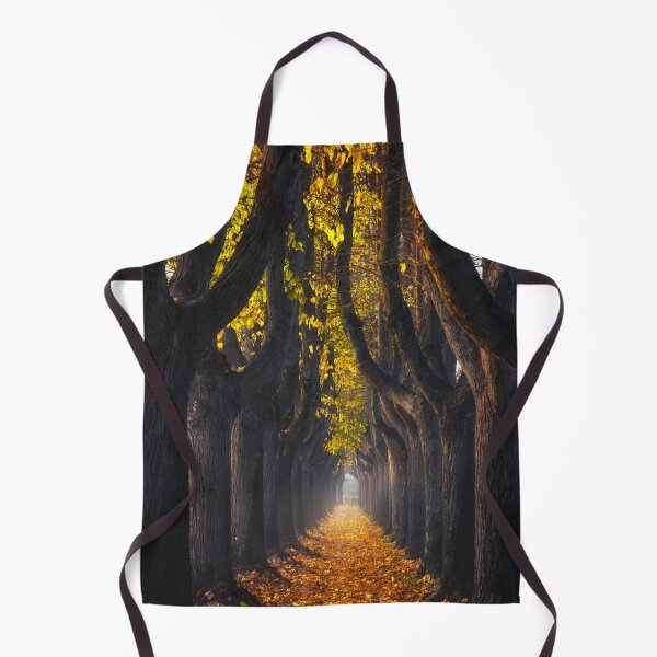Item preview, Autumn foliage in tree-lined walkway. Lucca, Italy. designed and sold by Stefano Orazzini.