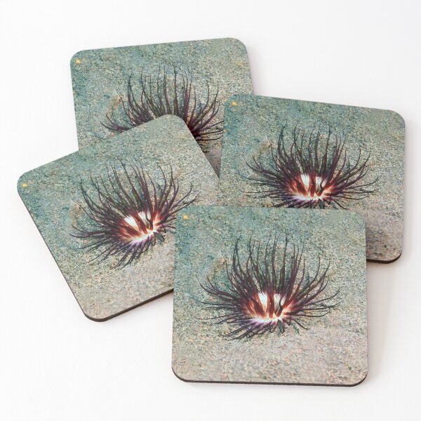 Item preview, Sea anemone photo with high resolution quality designed and sold by Allyouneed-2.