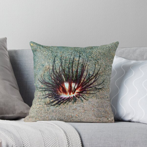 Item preview, Sea anemone photo with high resolution quality designed and sold by Allyouneed-2.