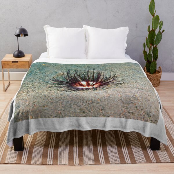 Item preview, Sea anemone photo with high resolution quality designed and sold by Allyouneed-2.