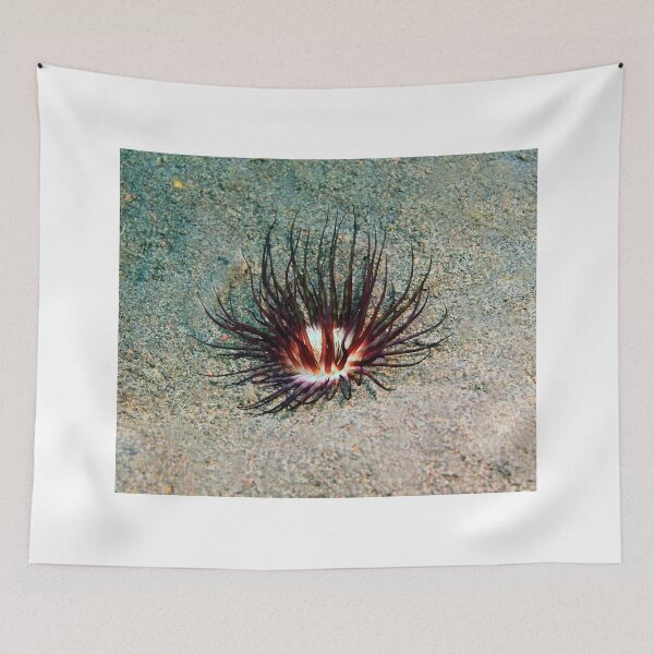 Item preview, Sea anemone photo with high resolution quality designed and sold by Allyouneed-2.